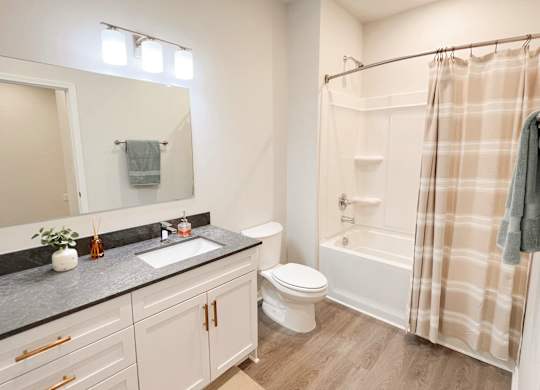Pet-Friendly Luxury Apartments In Boiling Springs, SC - Grande At Geyser Falls - Bathroom with Bathtub, Shower and Large Sink