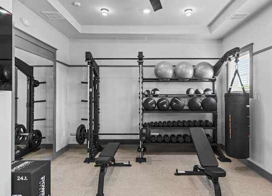 A gym with a variety of weights and equipment.