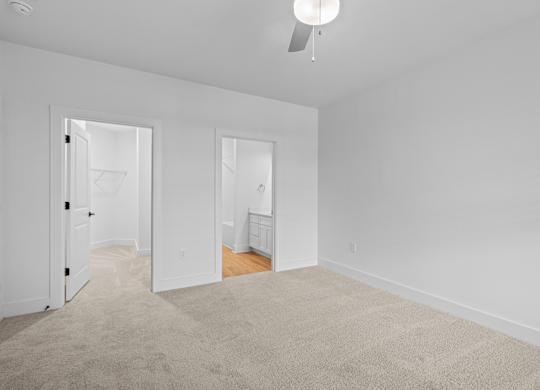 A white room with a carpet and a ceiling fan.