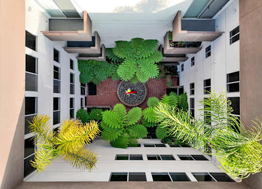 A green plant is in the middle of a room at Peach Tree Court, Los Angeles, California