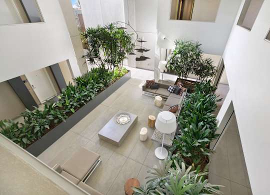 A living room with a couch, a table, and a potted plant at The Urbanpolitan, Los Angeles, California