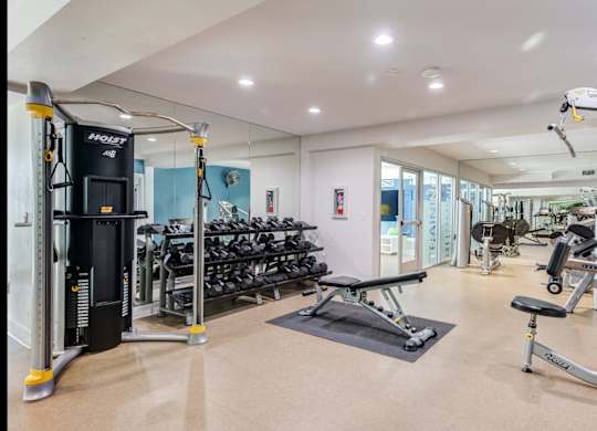A gym with a variety of equipment including a treadmill, weights, and a bench press.