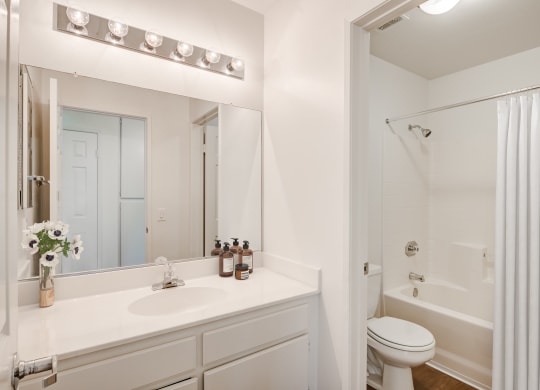 Bathroom at Arroyo Villa Apartments, Thousand Oaks, 91320