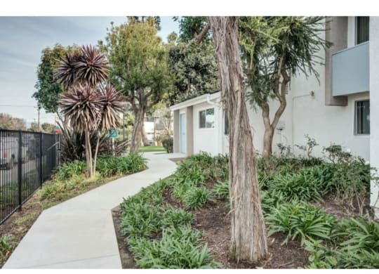 Green Space Walking Trails at Costa Mesa Family Village, Costa Mesa