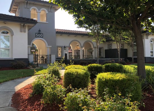 a house with a tree in front of it  at Falcon Bridge at Gale Ranch, San Ramon, CA, 94582