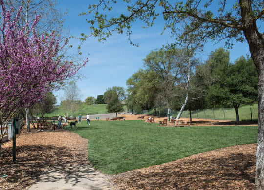 a park with a picnic table and a playground in the background  at Falcon Bridge at Gale Ranch, San Ramon, 94582
