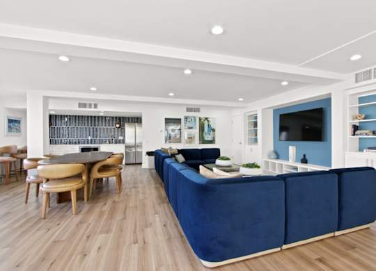 A modern living room with a blue sofa and wooden floors.