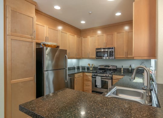 Sink And Faucet at Sonoma at Porter Ranch, Porter Ranch