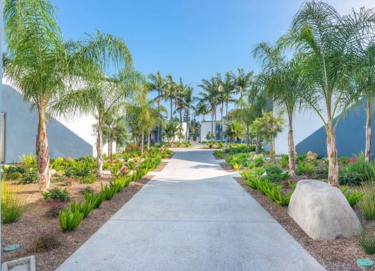 Courtyard Walking Path at Beverly Plaza Apartments, Long Beach, 90815