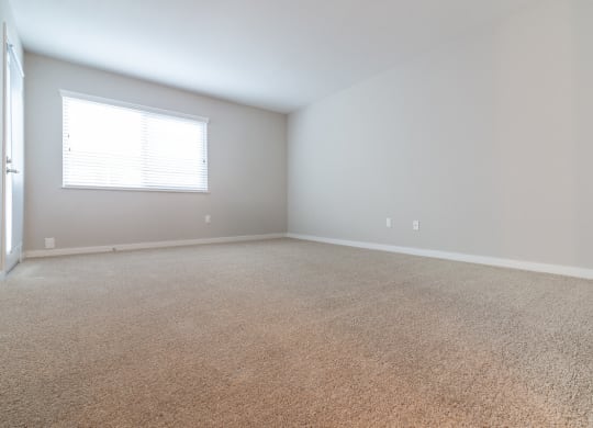 Plush Carpeting at Beverly Plaza Apartments, California