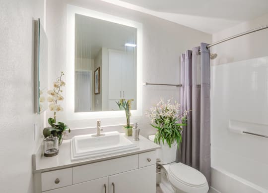 a bathroom with a white toilet next to a white sink with a mirror above it  at Laguna Gardens Apts., Laguna Niguel, CA, 92677