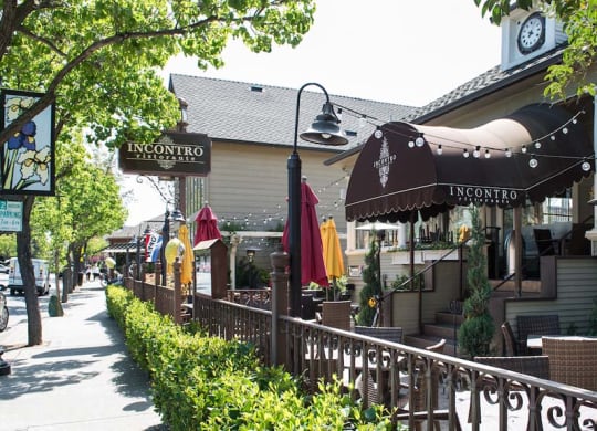 Downtown view at Meadow Wood at Alamo Creek, Danville