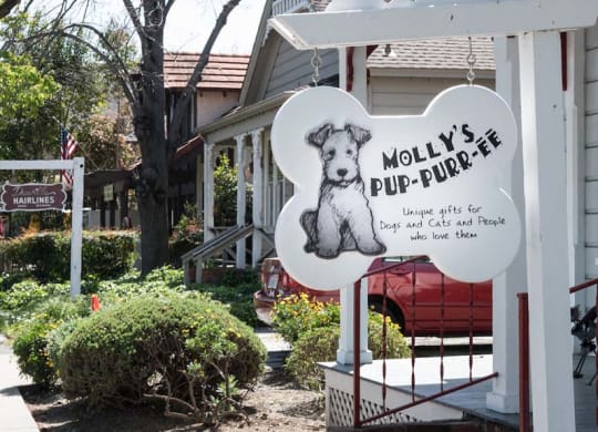 pet dog park at Meadow Wood at Alamo Creek, California