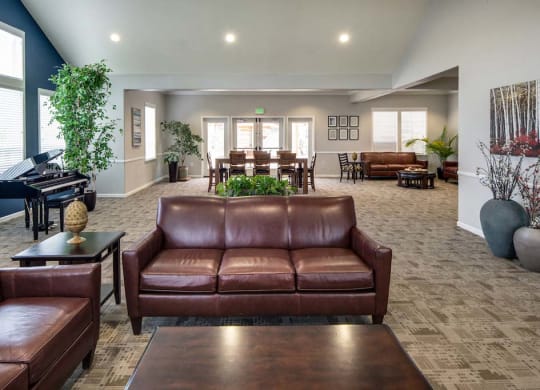 Couch at Meadow Wood at Alamo Creek, California