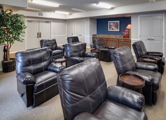 Movie room at Meadow Wood at Alamo Creek, Danville, California