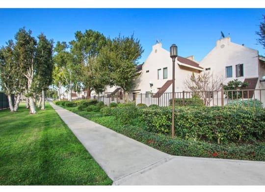 Sidewalk with trees on both sides and houses in the background  at Harvard Manor, Irvine, CA