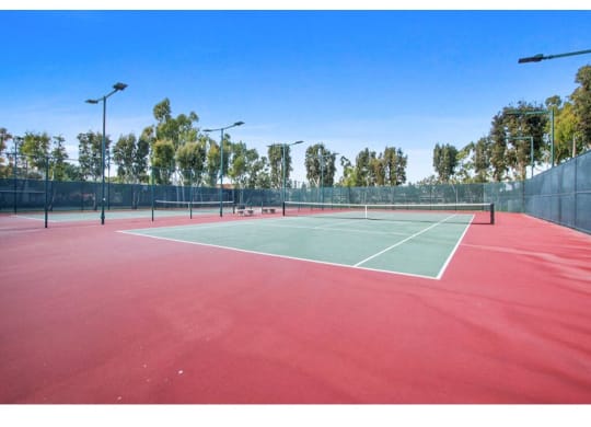 a tennis court with lights and trees in the background  at Harvard Manor, Irvine, CA, 92612