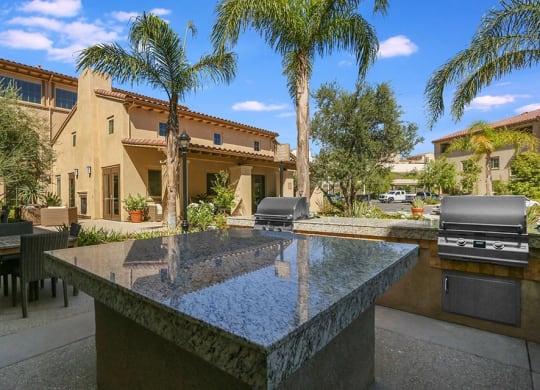 a patio with a table and chairs and a grill with palm trees in the background  at Ventana Senior Apartments, Northridge
