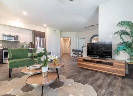 Living room with tv unit at Montecito Apartments at Carlsbad, Carlsbad, CA