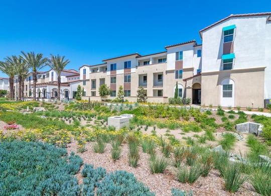 Greenery at Portola Senior Apartments, Carlsbad, California