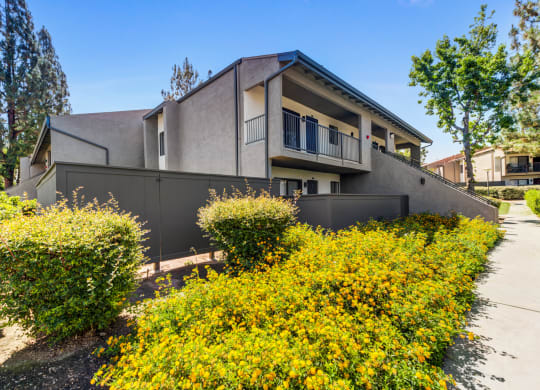 a house with a grey wall and yellow flowers in front of it  at Redlands Park Apts, California, 92373