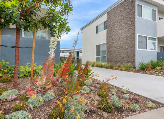 Walking Path at Park Apartments, Norwalk, California