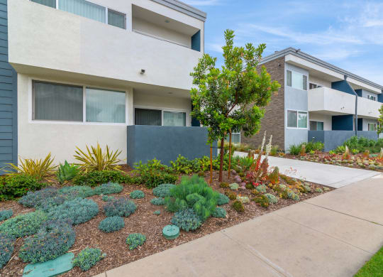 Courtyard at Park Apartments, Norwalk, CA, 90650