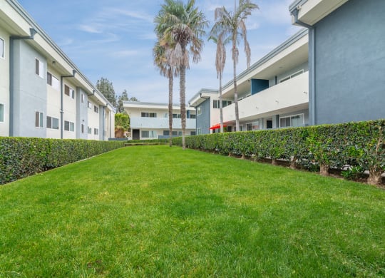 Lush Green Outdoor at Park Apartments, California, 90650
