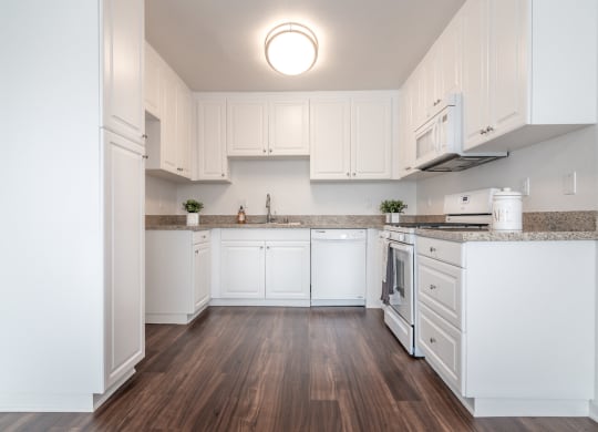 Designer Kitchens with Granite Countertops at Park Apartments, California