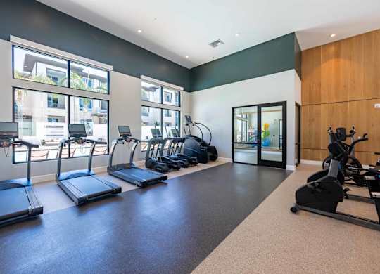 Gym at The Overlook Santa Clarita, Santa Clarita, CA, 91350