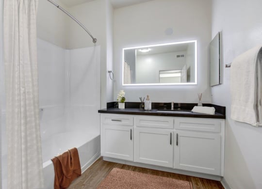 a bathroom with a sink and a mirror at Toluca Court, California, 91602