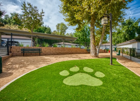 a yard with a paw print on the grass at Canyon Crest, Riverside, CA