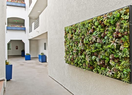 a living wall on the side of a building at Alon Apartments, Los Angeles