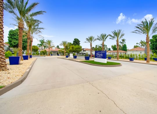 an empty parking lot with palm trees and houses in the background at The Park Apartments, California