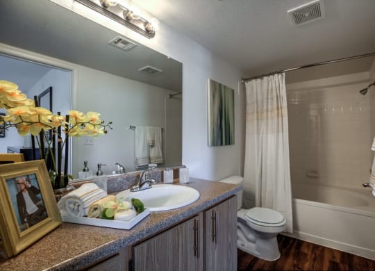 a bathroom with a sink and a shower and a toilet at Bella Terra Apartments, Nevada, 89012