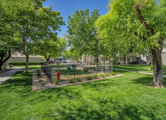 Dog Park at Bermuda Terrace, Las Vegas, Nevada