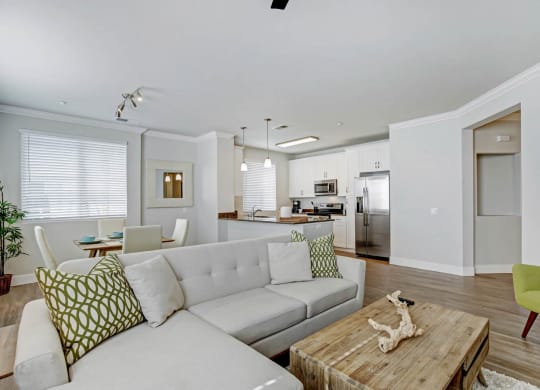Spacious Living Room at Apex Mission Valley, San Diego