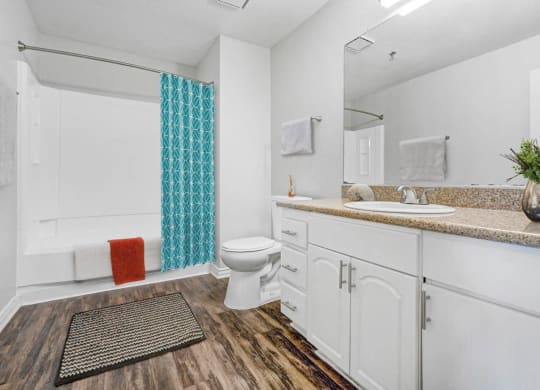 Luxurious Bathroom at The Park Apartments, California