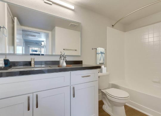 another bathroom with a toilet and a sink and a mirror at Bella Terra Apartments, Henderson
