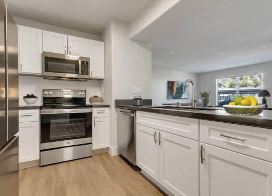 Kitchen cabinets at Bella Terra Apartments, Nevada, 89012