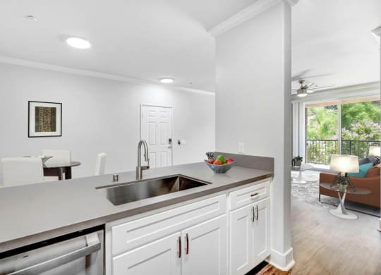 Kitchen Sink at Canyon Crest, Riverside, 92507