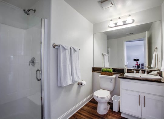 Luxurious Bathroom at Madison Toluca, North Hollywood, California