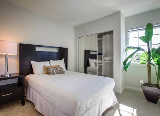 Gorgeous Bedroom at Madison Toluca, North Hollywood, 91601