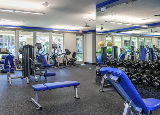Fitness 3 at Milan Apartment Townhomes, Las Vegas, NV, 89183