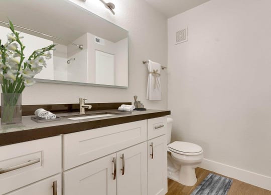 Renovated Bathrooms With Quartz Counters at Rancho Serene, Nevada, 89123