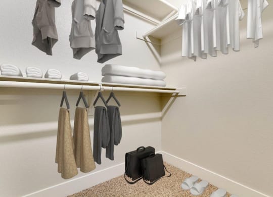 Closet at Rancho Serene, Nevada