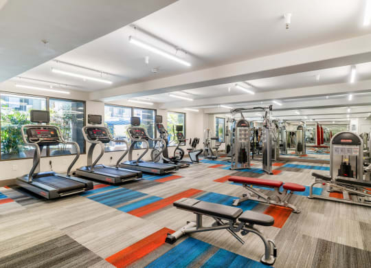 24-Hour Fitness Center With Free Weights at The Adler Apartments, Los Angeles