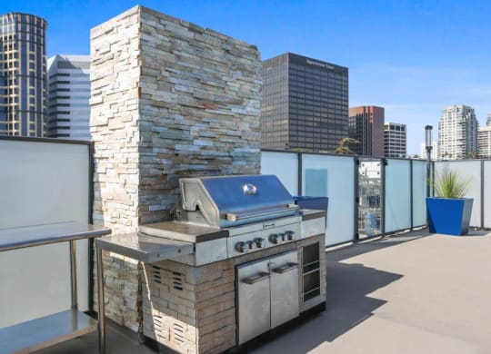 Barbeque at Rochester Apartments, California, 90024