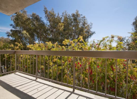 Balcony view at Rose Apartments, California
