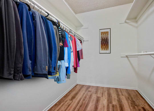 Closet at Rose Apartments, California, 90034